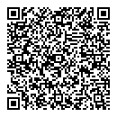 QR код "LASER RAY"
