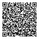 QR код "Молния"