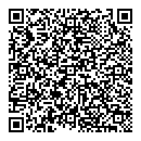 QR код "Викинг"