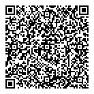 QR код "Звездопад"