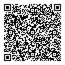 QR код "Вулкан"
