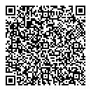 QR код "Лион"