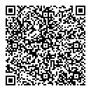 QR код "Блеск"