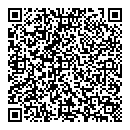 QR код "Глобус"