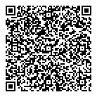 QR код "Звездный"