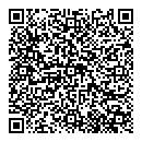 QR код "Блеск"
