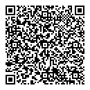 QR код "Дэльта"
