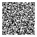 QR код "Глобус"