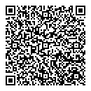 QR код "Спутник"