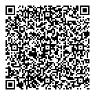 QR код "Воздушный мир"