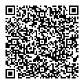 QR код "Flash"