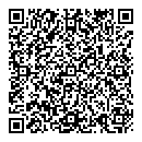 QR код "ДНС"