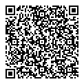 QR код "Бис"