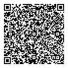 QR код "ЛАНИТ-Пенза"