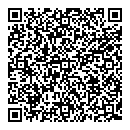 QR код "Nine Lines"