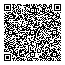 QR код "Панамера"