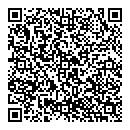 QR код "Сатурн"