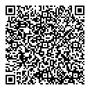 QR код "Барс"