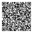 QR код "Звёздный"