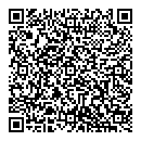 QR код "Сатурн"