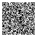 QR код "ДНС"