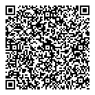QR код "Мега-Сити"