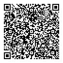 QR код "Викинг"
