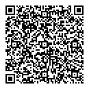 QR код "Shining3D Rus"