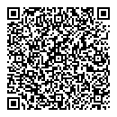 QR код "Олдис"