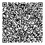 QR код "StarSky"
