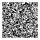 QR код "Top-Gun"