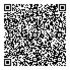 QR код "Visson"