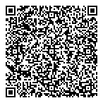 QR код "Demis Group"