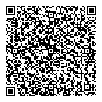 QR код "DVP Audit"