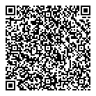 QR код "SkyPtoP"