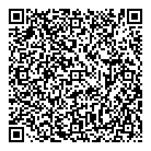 QR код "Art Vinyl"