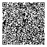 QR код "NETQIS"