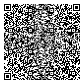 QR код "Официальный дилер KAIYI"