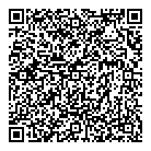 QR код "Профессионал"