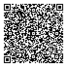 QR код "Джемини"