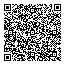 QR код "585"