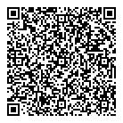 QR код "220 V"