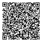 QR код "Профессионал"