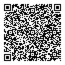 QR код "585"
