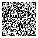 QR код "Блеск"