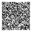 QR код "Шайба"
