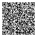 QR код "Спутник"