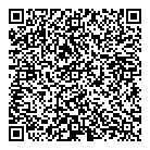 QR код "Динамо"