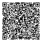 QR код "Созвездие"