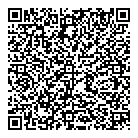 QR код "SkySeo"